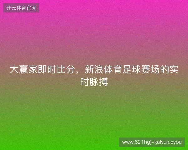 大赢家即时比分，新浪体育足球赛场的实时脉搏